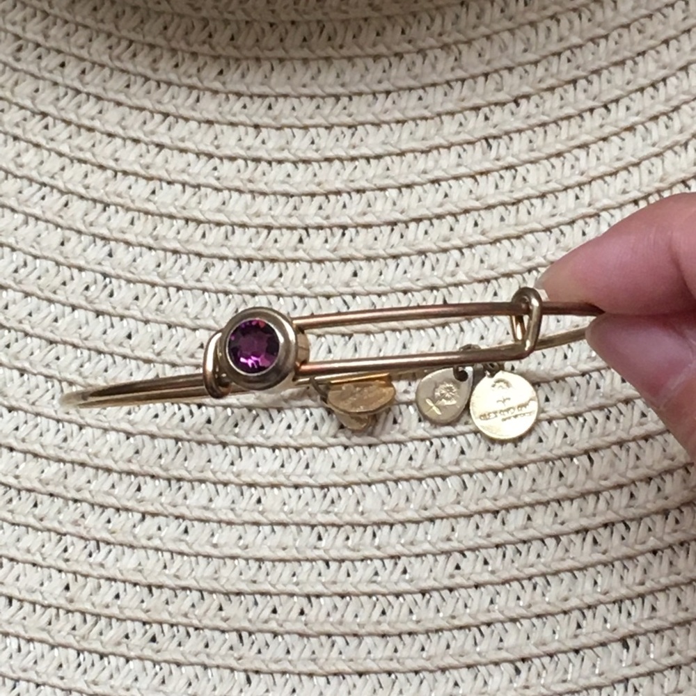 Alex and Ani Purple Amethyst Sliding Charm